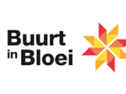 Buurt in Bloei