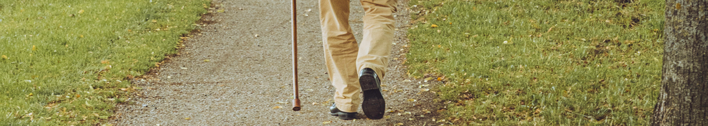 wandelaar