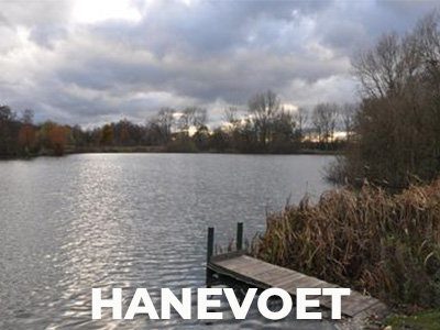 Hanevoet